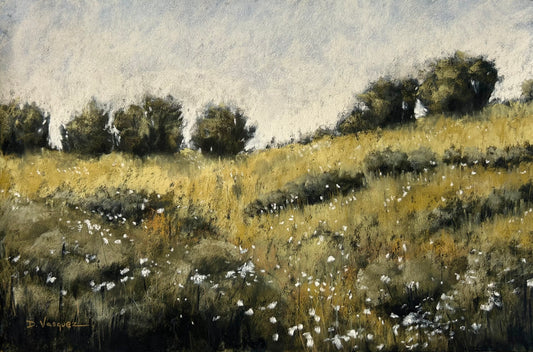 Loma Tranquila (Quiet Hill)