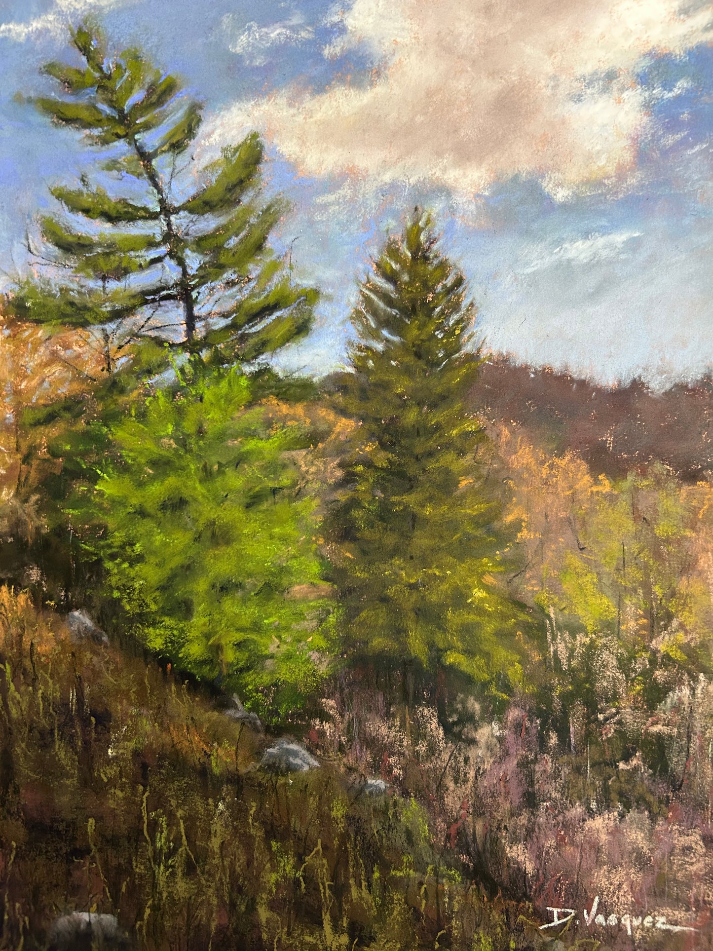 Skyway Pines